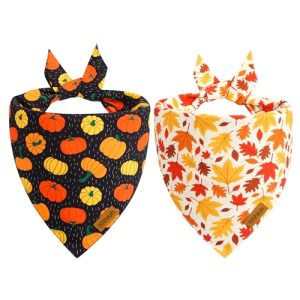 Fall Dog Bandanas: Reversible Halloween & Thanksgiving Scarf