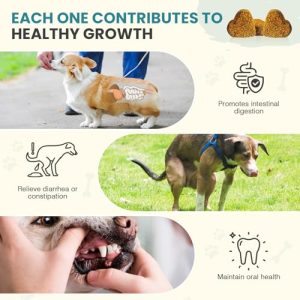 TzzyiC Probiotics for Dogs – Digestive & Immunity