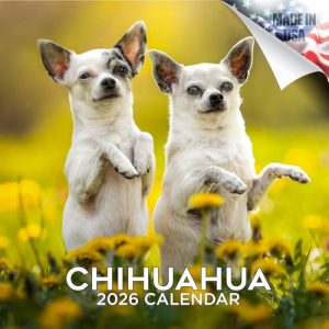 2025-2026 Chihuahua Dog Breed Monthly Wall Calendar