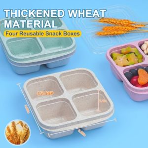 4-Pack Bento Snack Containers – Meal Prep Boxes
