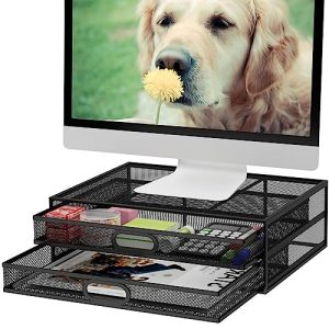 Marbrasse Monitor Stand Riser w/ Dual Storage Drawer