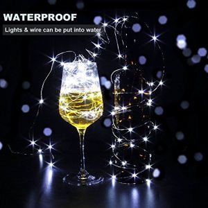 CYLAPEX 12-Pack Cool White Mini LED Fairy Lights
