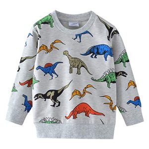 Boys Dinosaur Sweatshirt – Cotton Crewneck Pullover Grey