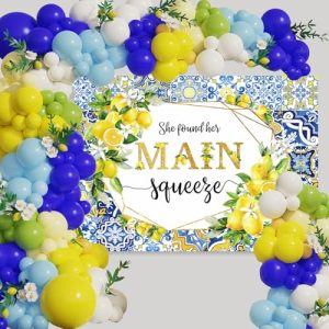 Lemon Bridal Shower Backdrop – Engagement & Wedding Decor