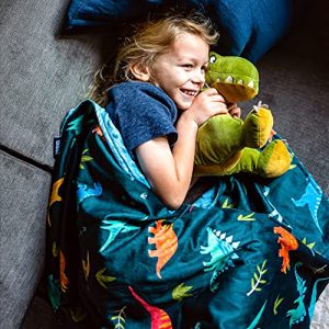 Wildkin Jurassic Dinosaurs Plush Throw Blanket Kids