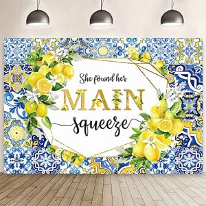 Lemon Bridal Shower Backdrop - Engagement & Wedding Decor