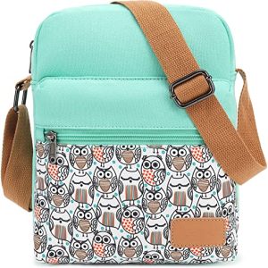 Leaper Girls Cute Owl Crossbody Purse & Messenger Bag Set