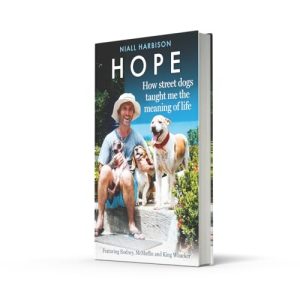 Hope: How Street Dogs Taught Me the Meaning of Life