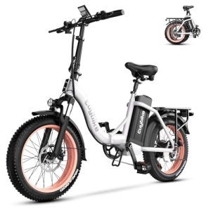 Folding Electric Bike – 1000W, 48V 20AH Fat Tire Ebike