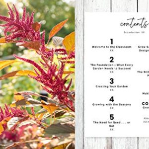 The First-Time Gardener: Growing Vegetables – Essential Guide