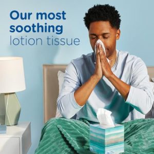 Puffs Plus Lotion Facial Tissues, 10 Cube Boxes
