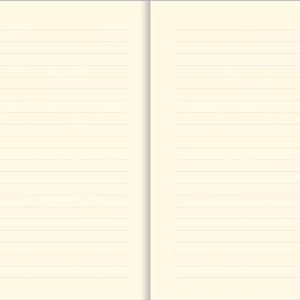 Constellations Journal – Cosmic Diary & Notebook