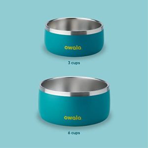 Owala Pet Bowl – 24oz Stainless Steel, Non-Slip, Teal