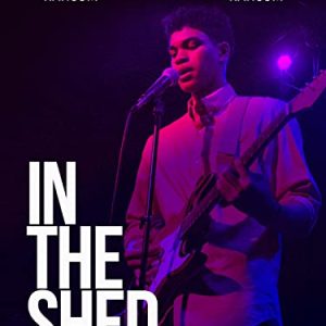 In the Shed: Mysteries & Adventures