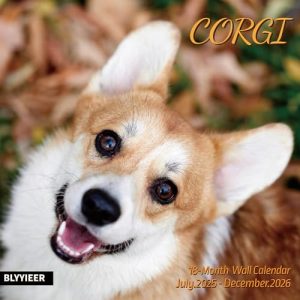 Corgi 2026 Wall Calendar – Family Planner for Dog Lovers