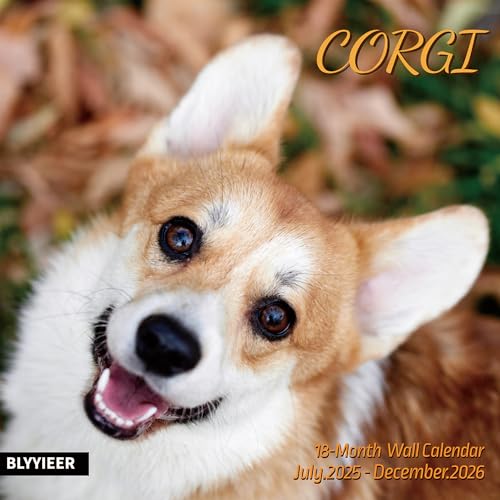Corgi 2026 Wall Calendar - Family Planner for Dog Lovers