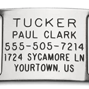 Boomerang Silent Pet ID Tags – Personalized Stainless Steel