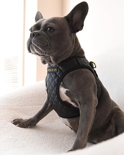 Stylish Step-in Dog Harness - No Escape Vegan Leather - Image 8