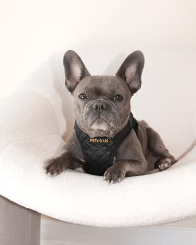 Stylish Step-in Dog Harness - No Escape Vegan Leather - Image 6