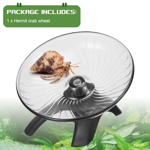 Poen Hermit Crab Exercise Wheel - Silent Flying Saucer - Image 3