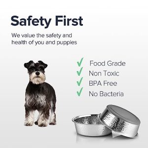 URBUDDIES 2-Pack Hammered Stainless Steel Dog Bowls (4 Cup)