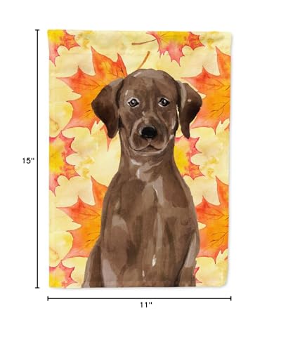 Chocolate Lab Fall Garden Flag - Outdoor Decor - Image 2