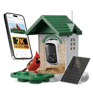 Solar 2K HD Smart Bird Feeder Camera – AI Bird ID (Green)
