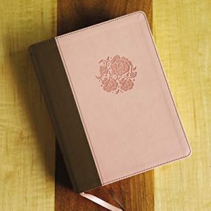 NIV Journal the Word Bible for Women: Leathersoft Brown/Pink