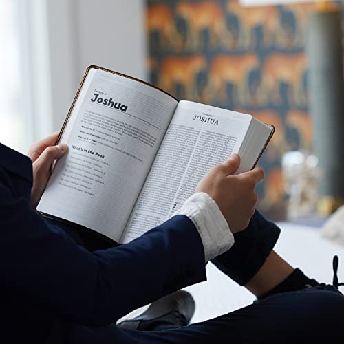 NKJV Holy Bible for Kids - Verse Art Purple Leathersoft - Image 5