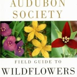 Audubon Field Guide: Eastern North American Wildflowers