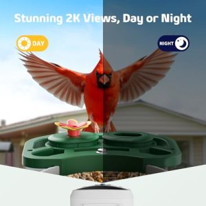 Solar 2K HD Smart Bird Feeder Camera – AI Bird ID (Green)