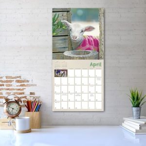 2025 Wall Calendar: Lambies in Jammies & Goats in Coats