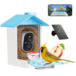 Smart Solar Bird Feeder with 2K HD Camera & AI ID
