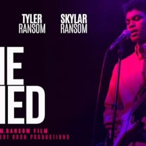 In the Shed: Mysteries & Adventures