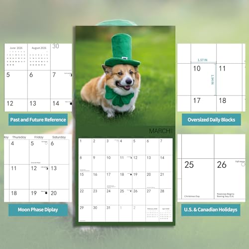 Corgi 2026 Wall Calendar - Family Planner for Dog Lovers - Image 4