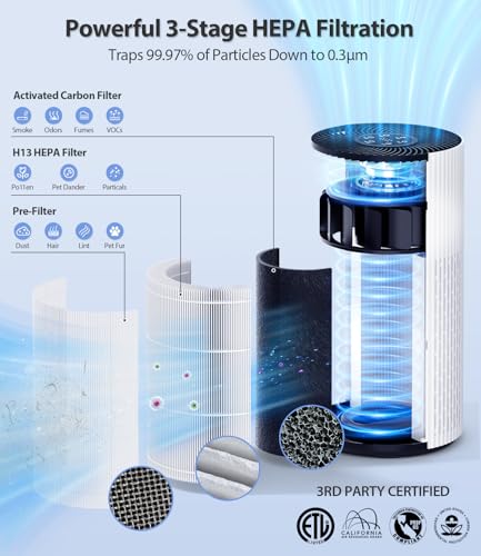 HAP604 HEPA Air Purifier: Large Room, Pets, Mood Light - Image 3