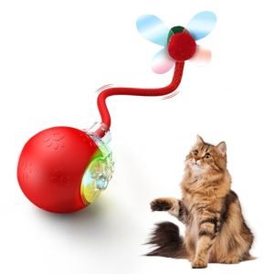 Jovrun Interactive Moving Cat Ball Toy for Indoor Cats