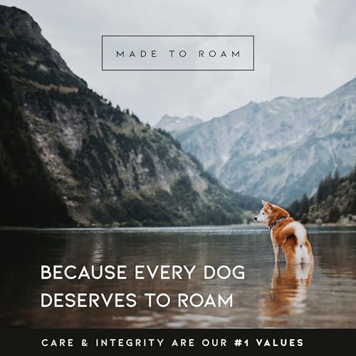 Premium Explorer Dog Harness - Y-Shaped, Padded Nylon - Image 6