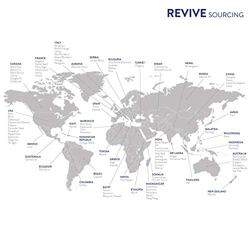 Revive Wintergreen Essential Oil - 100% Pure Therapeutic - Image 4