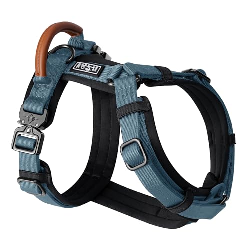 Premium Explorer Dog Harness - Y-Shaped, Padded Nylon