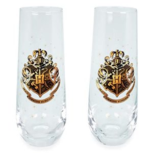Harry Potter Hogwarts Stemless Flutes – Set of 2 Barware