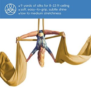 Aum Active Aerial Silks Starter Kit for Yoga & Acrobatics