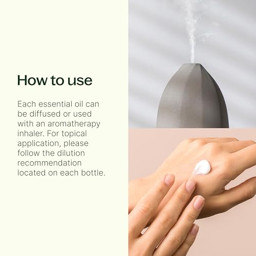 Plant Therapy Wellness Sampler Essential Oil Set - 3-Pack Blends - Image 2