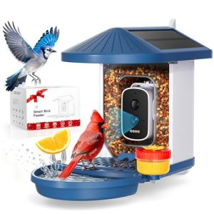 Smart Solar Bird Feeder with 4K AI Camera & Alerts