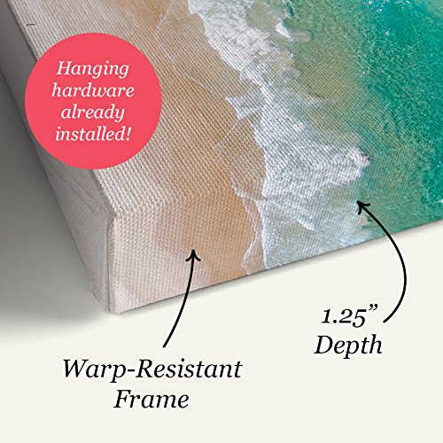 Honey Bee Canvas Wall Art Print by Chad Barrett, 24"x20" - Image 4