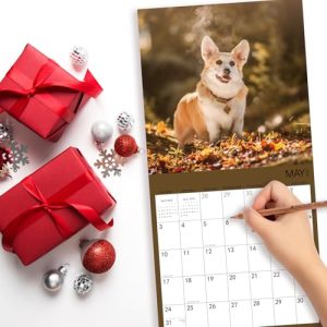 Corgi 2026 Wall Calendar – Family Planner for Dog Lovers