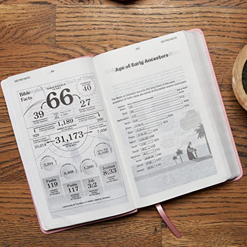 NKJV Holy Bible for Kids - Verse Art Purple Leathersoft - Image 9