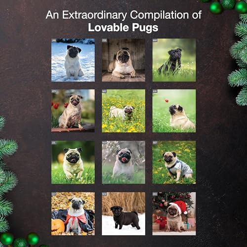 Pugs 2026 Wall Calendar - 12-Month, 12x24, Giftable - Image 3