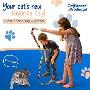 Cat Dancer Charmer Interactive Wand Toy for Felines