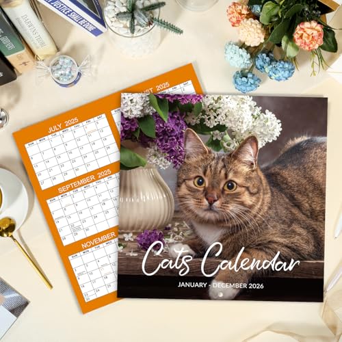 2026 Cutie Cat Wall Calendar: 12-Month Planner - Image 6